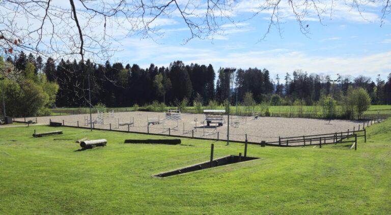 Unterer Sandplatz mit Springgarten